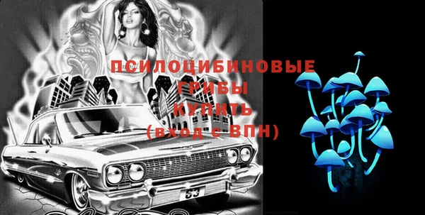 гашик Алзамай