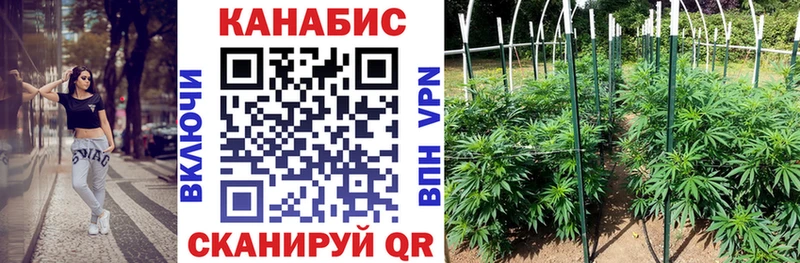 mega ONION сколько стоит Дыгулыбгей Конопля индика